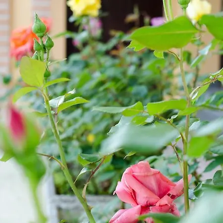 Il Pozzetto Ravigliano