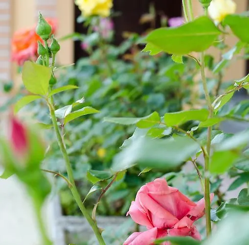 Il Pozzetto Ravigliano